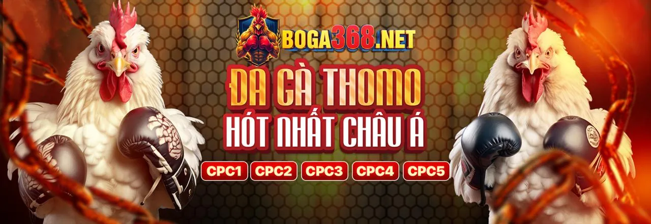 bomwin link mới 2026: Cá Cược Thể Thao Hấp Dẫn