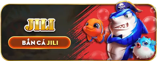 Hình ảnh hỗ trợ và câu hỏi thường gặp